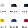 Kolor-310